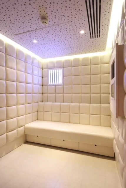 Inside Karaoke Box Mayfair